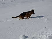 Salita invernale dai Piani al MONTE AVARO (2088 m.) il 24 gennaio 2009 - FOTOGALLERY